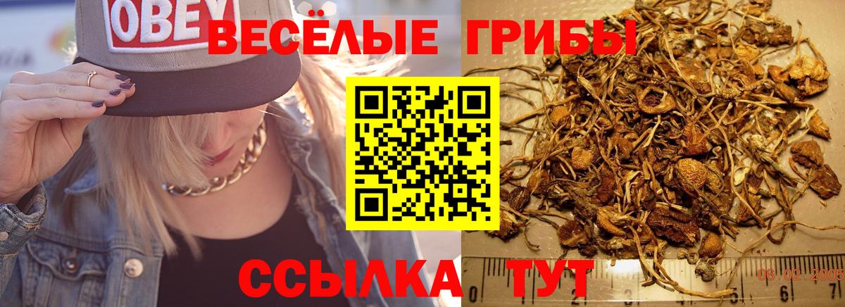 Галлюциногенные грибы Psilocybe Учалы